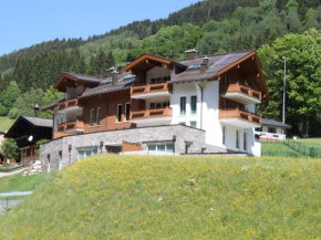 Luxurious Apartment in Saalbach Hinterglemm near Ski Area Saalbach-Hinterglemm